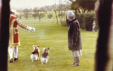 The Queen plays with her corgis from the series Confidential 2007