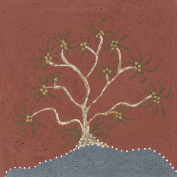 Winbul (pandanus tree)