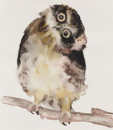 Night Owl, 2013 by Fiona McMonagle
Private Collection, NSW
