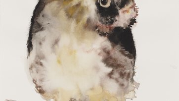 Night Owl, 2013 by Fiona McMonagle
Private Collection, NSW