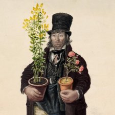 Copeman, gardener, Great Yarmouth by John Dempsey
