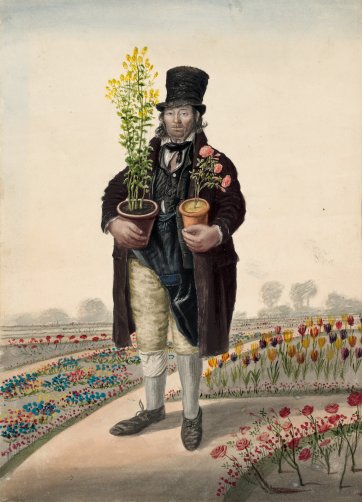 Copeman, gardener, Great Yarmouth