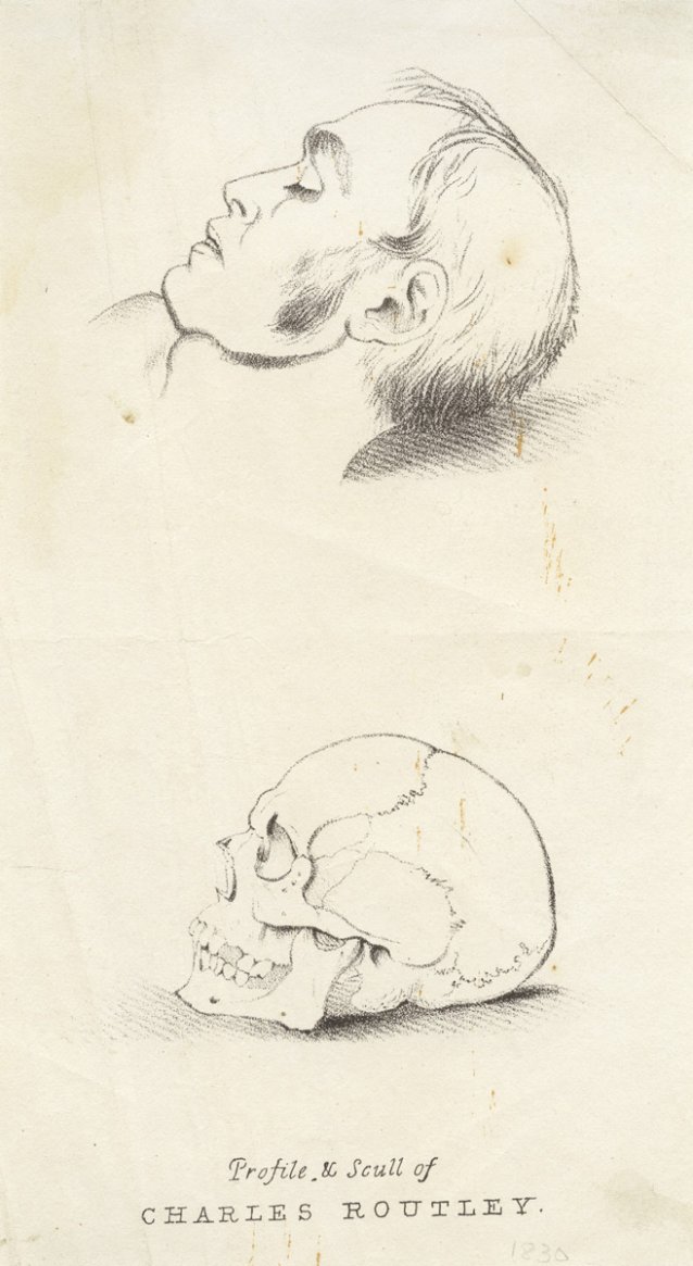 Profile and scull of Charles Routley