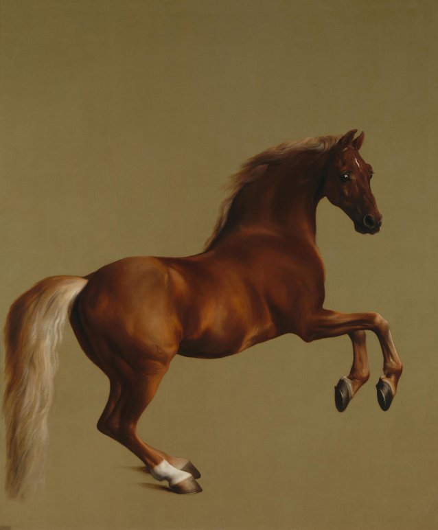 Whistlejacket, about 1762 by George Stubbs
