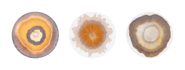 Three Siblings: Chromatograms of Emmie, Rasmus and Cosmos