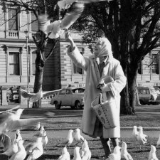 Louise Lovely feeding gulls in a park, 1969 Unknown photographer