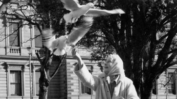Louise Lovely feeding gulls in a park, 1969 Unknown photographer