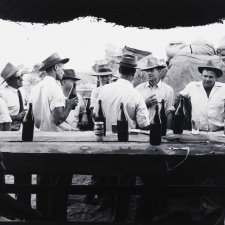 Bar, Betoota races, Queensland