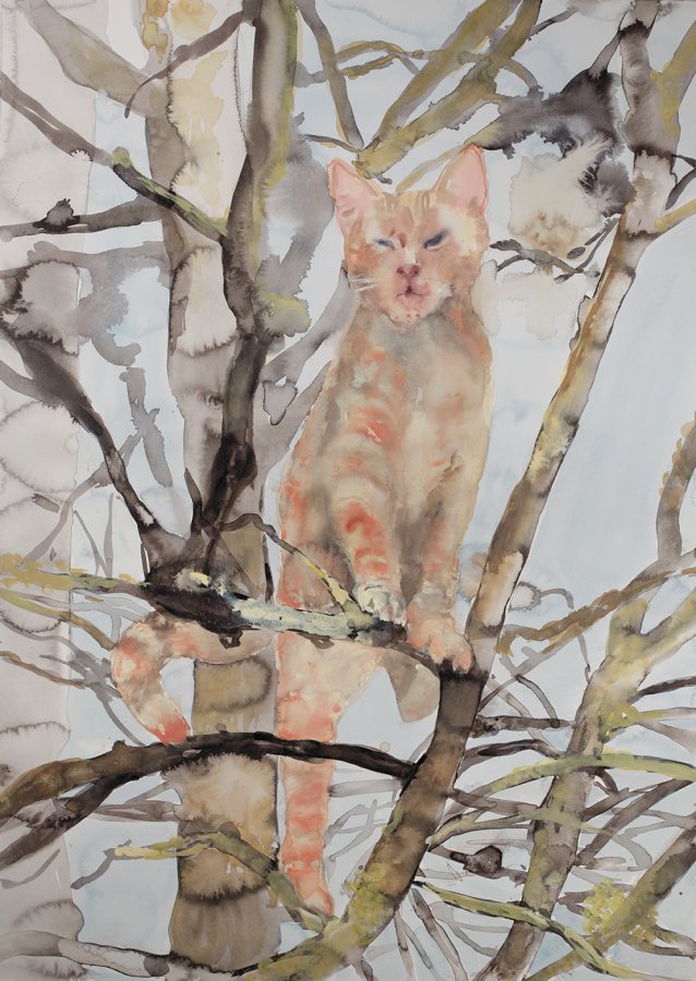 Ginger tom, 2015 by Fiona McMonagle
Private Collection, courtesy of Heiser Gallery, Brisbane