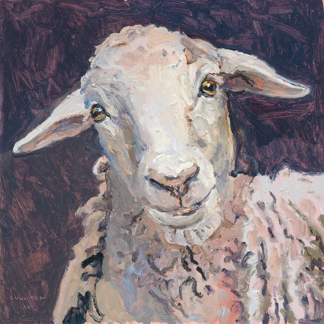 Unnamed sheep, 2016 by Lucy Culliton