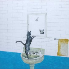 Cat at mirror, 2015 Noel McKenna Cat at mirror, 2015 Noel McKenna