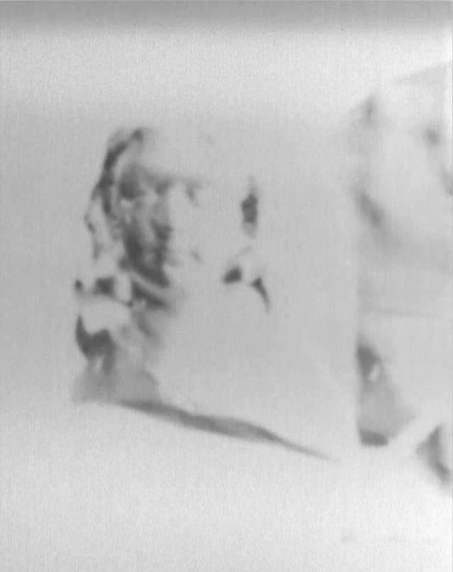 Bio-identifier_1, 2023