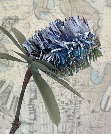 Blue banksia made from paper