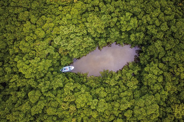 Searching for tarpon in mangrove tunnels – Ascension Bay, Mexico, 2019 Matt Jones