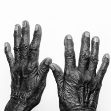 Nyangatja Ngayuku Mara (These are my hands), 2023 Rhett Hammerton