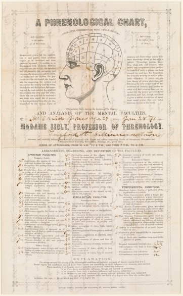 Phrenological chart and analysis of David Jones, 1871 by Marie Sibly