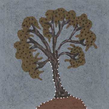 Barregll (nutwood tree)