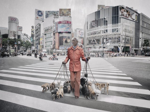Walkabout, 2025