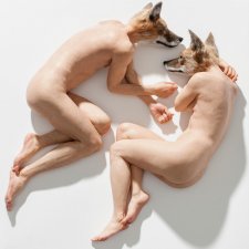 Unsettled dogs, 2012 by Sam Jinks