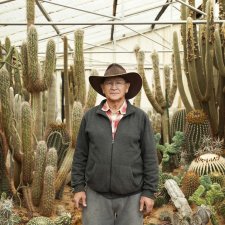Cactus World, Lester Meyers, 2014 by Man Tsun Cheung