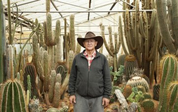 Cactus World, Lester Meyers, 2014 by Man Tsun Cheung