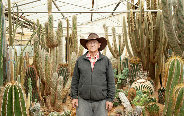 Cactus World, Lester Meyers, 2014
