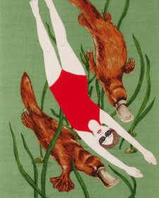 Swimming with Platypus, 2009