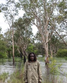Kanjdjihkanjdji Madjinbardi Kukabo (Down by the River at Madjinbardi), 2025 Shannon Nango Kanjdjihkanjdji Madjinbardi Kukabo (Down by the River at Madjinbardi), 2025 Shannon Nango