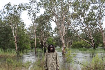 Kanjdjihkanjdji Madjinbardi Kukabo (Down by the River at Madjinbardi), 2025 Shannon Nango