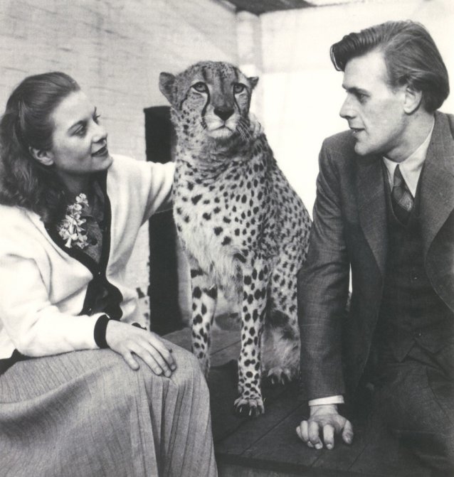 Pat and Richard Larter with Prince the cheetah at London Zoo, 1953