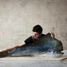 The Mahi-mahi, 2019 (printed 2026) Rob Palmer