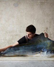 The Mahi-mahi, 2019 (printed 2026) Rob Palmer