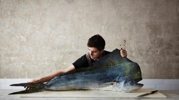 The Mahi-mahi, 2019 (printed 2026) Rob Palmer