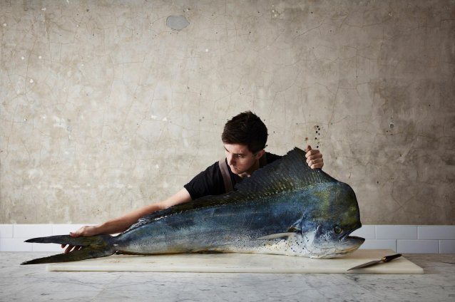 The Mahi-mahi, 2019 (printed 2026)