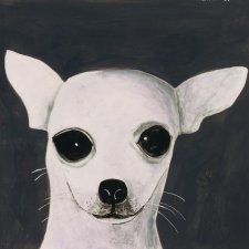 Untitled (Chihuahua), 2001 by Noel McKenna
Private collection, Melbourne