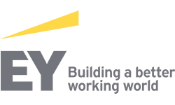 EY Financial Services logo